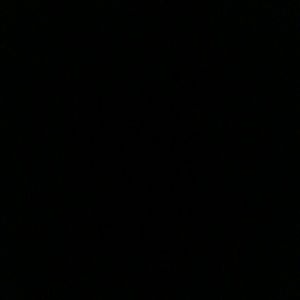 Meet your Posher, Jesse