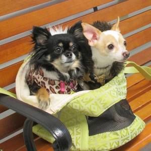 Meet your Posher, Stacy