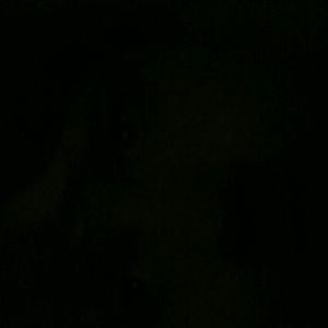 Meet your Posher, Seth