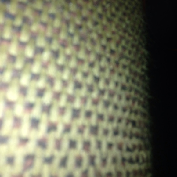 Meet your Posher, Oscar - Picture 1 of 1