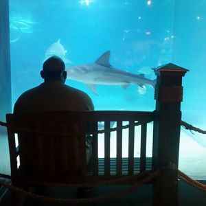 Meet your Posher, Luis