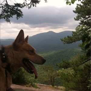 Meet your Posher, Sandra