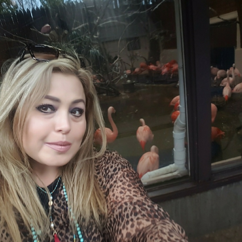 Meet your Posher, Patty