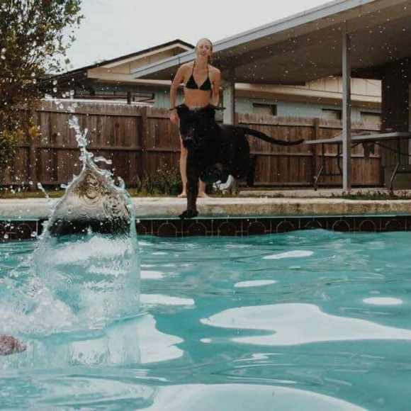 Meet your posher, Kyli - Picture 5 of 6