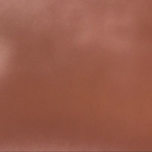 Meet your Posher, Adriana