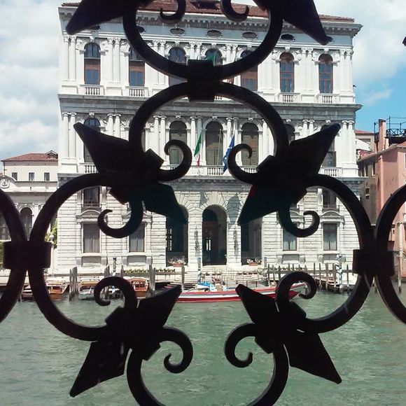 Meet your Posher, Donna - Picture 1 of 1