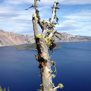 Meet your Posher, Kimberley