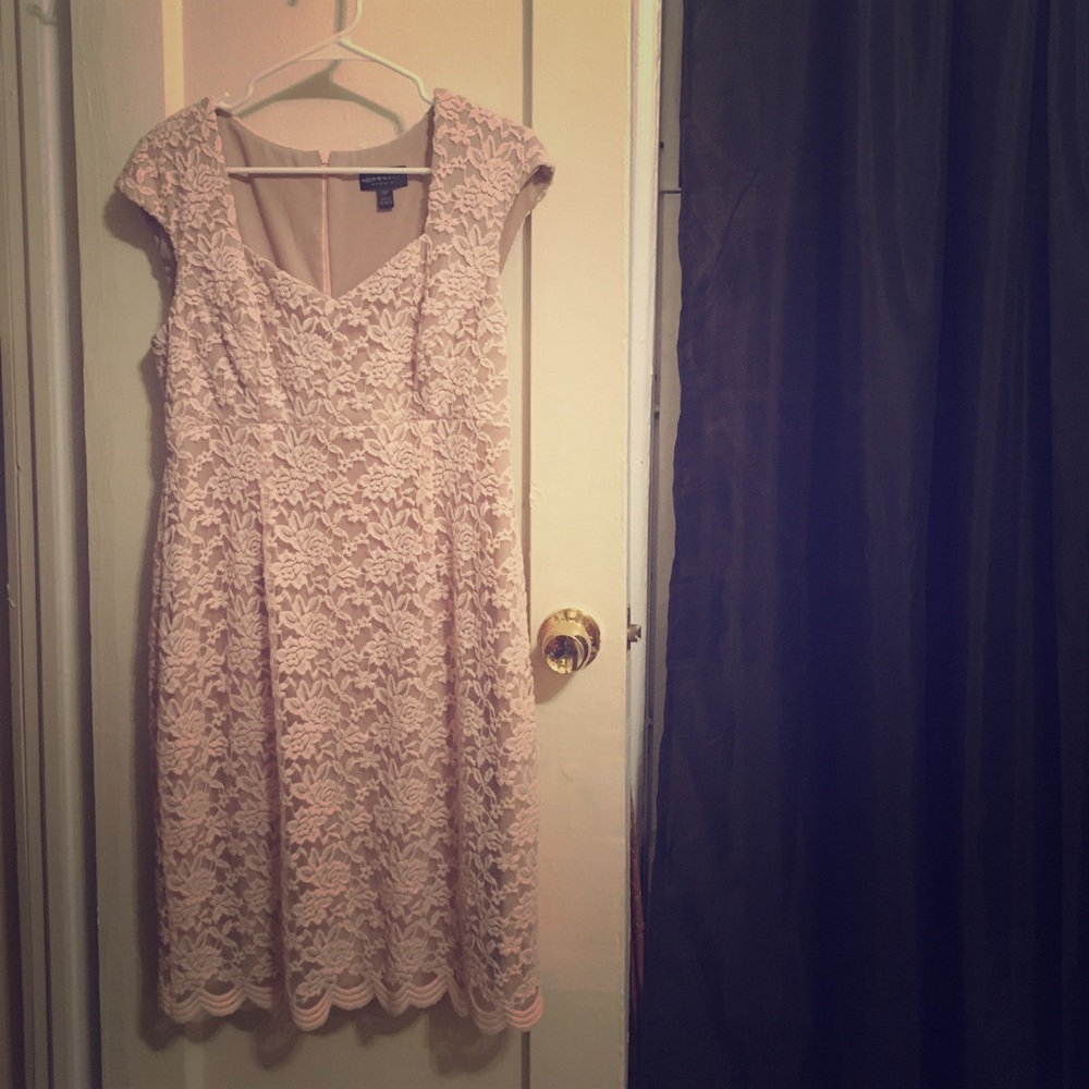 Light Pink Lace V-Neck Dress