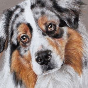 Meet your Posher, Ella