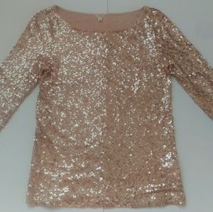 JCrew Blush Pink 3/4 Sleeve Sequin Top
