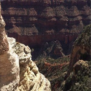 Meet your Posher, Abigail