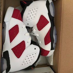 Jordan 6s carmines