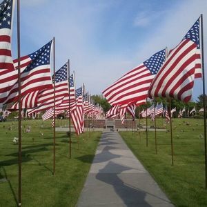 Meet your Posher, Sunnee