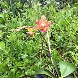 Meet your Posher, Michaela