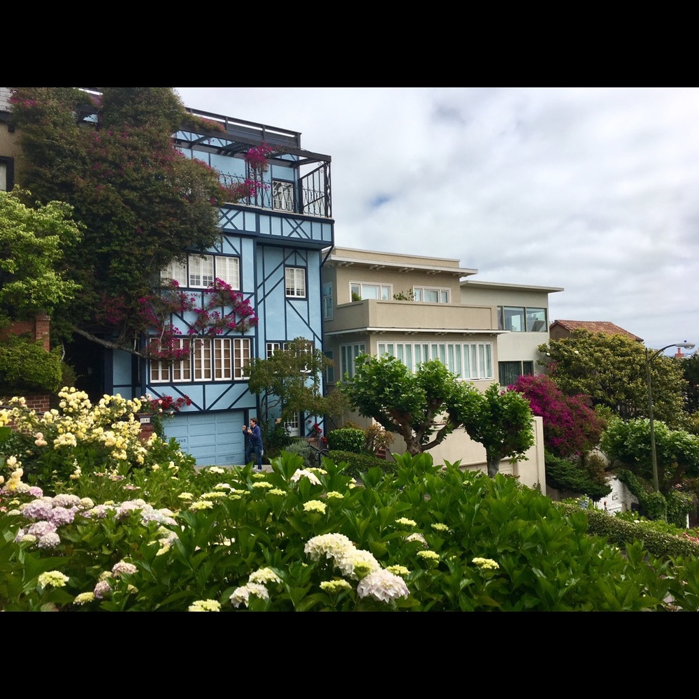 Meet your Posher, Nashua