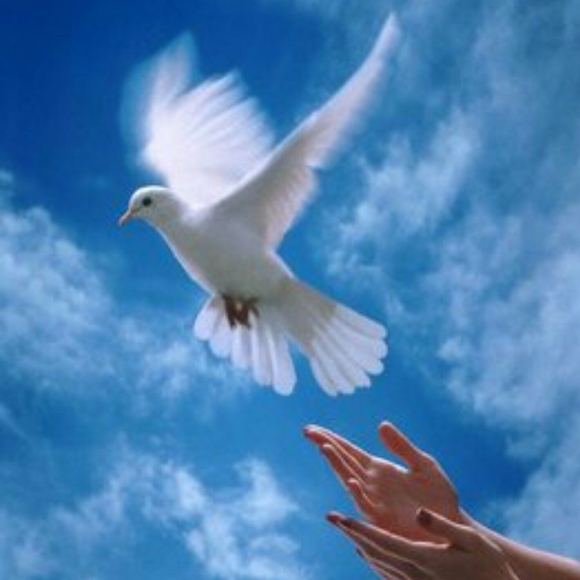 Meet your Posher, Nancy - Picture 2 of 3