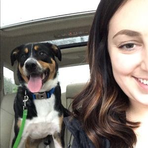 Meet your Posher, Molly