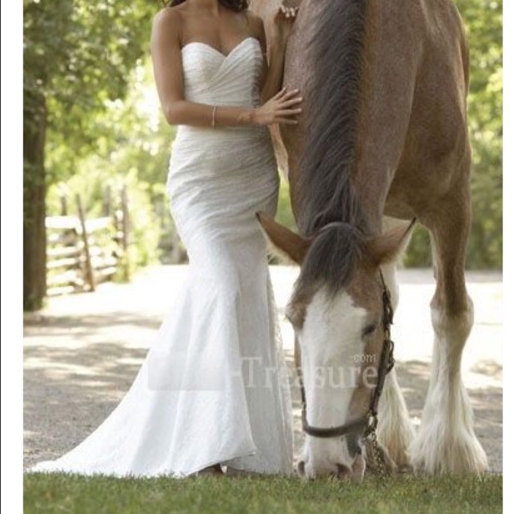 Gorgeous wedding dress!