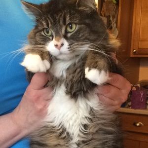 Meet your Posher, Noelle