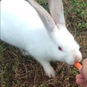 Meet your Posher, Sean