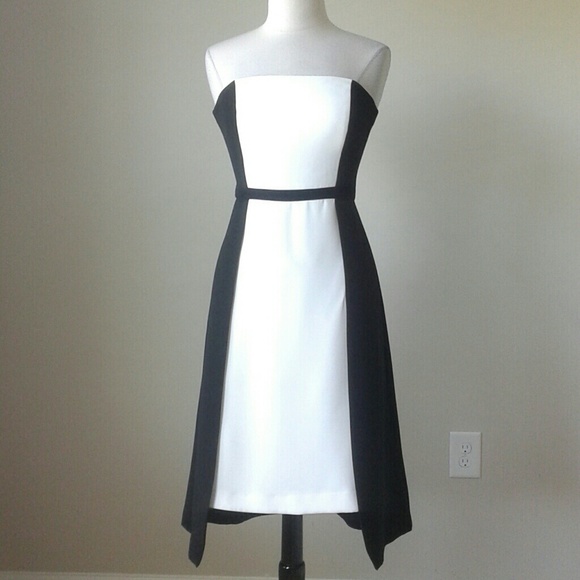 Colorblock strapless fit flare dress SOLD!!! - Picture 2 of 3
