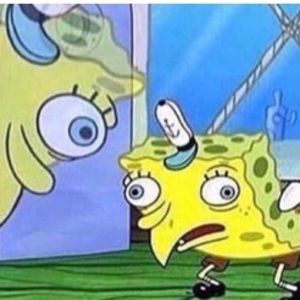 Meet your Posher, Frida