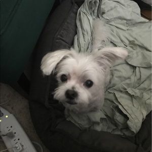 Meet your Posher, Lee