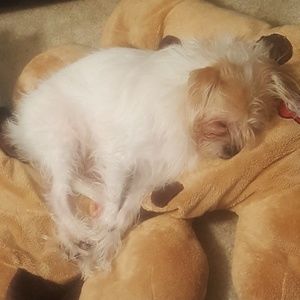 Meet your Posher, Ashanti