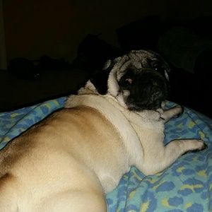 Meet your Posher, Cindy