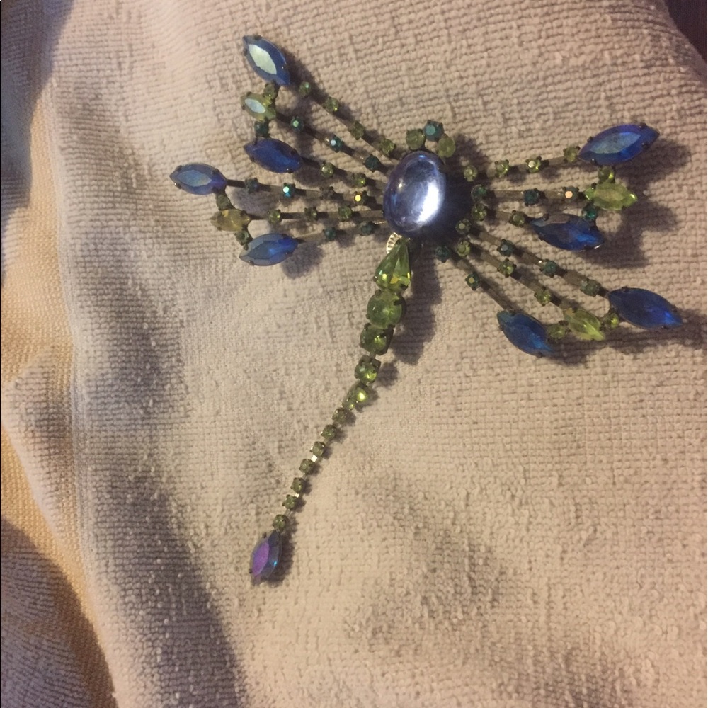 Large dragonfly pin