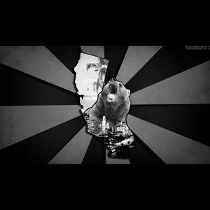 Meet your Posher, Cesar