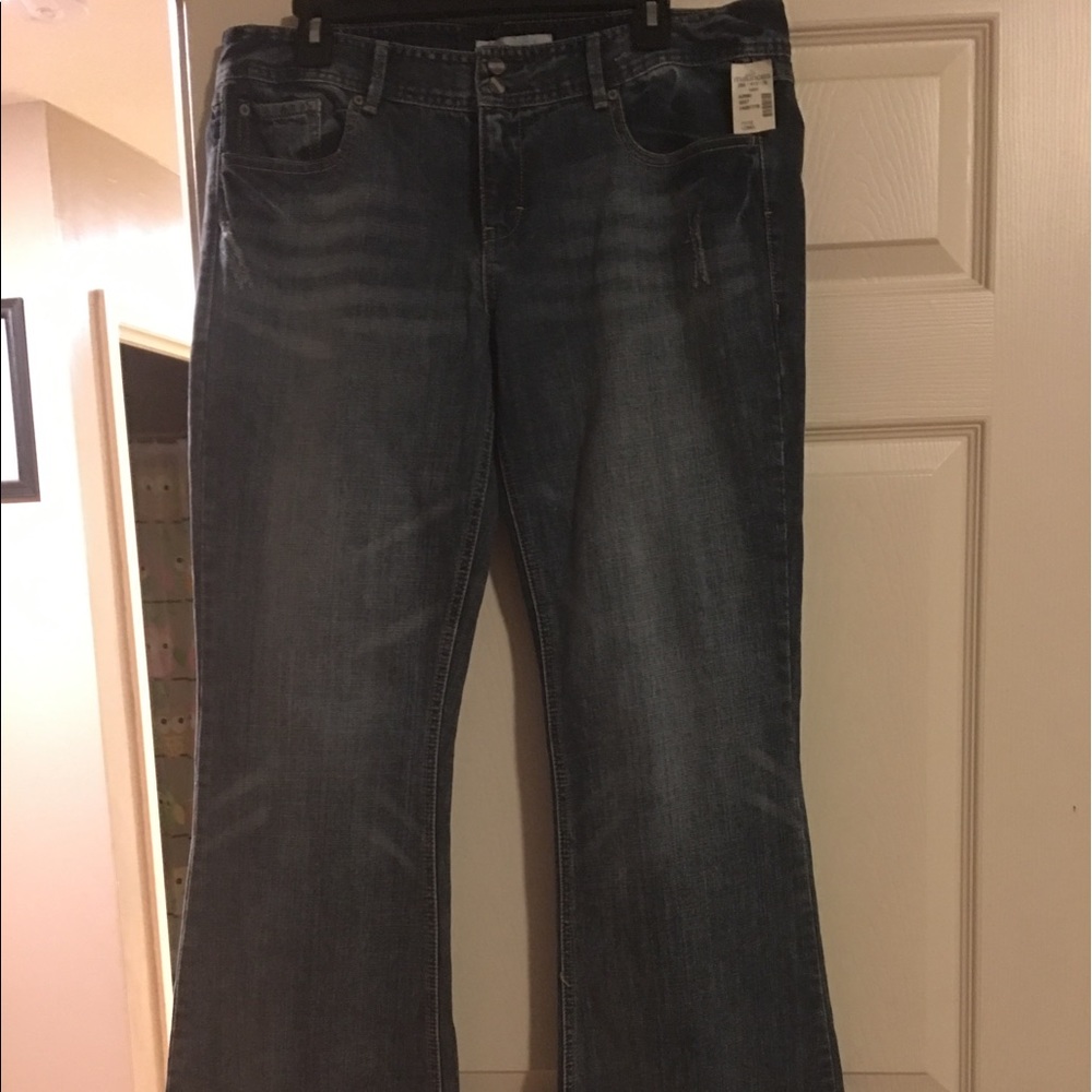 NWT Maurice's Ani flare jeans