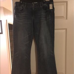NWT Maurice's Ani flare jeans