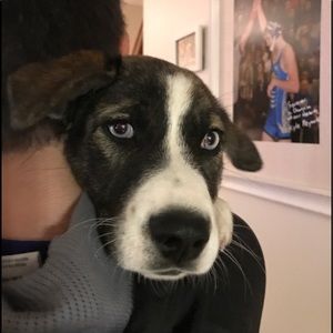 Meet your Posher, Tonya