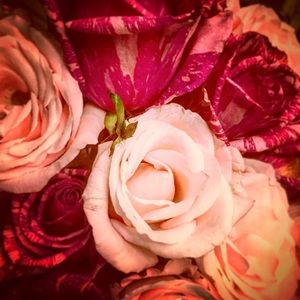 Meet your Posher, Jeanie