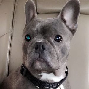 Meet your Posher, Erlyn