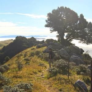 Meet your Posher, Merv