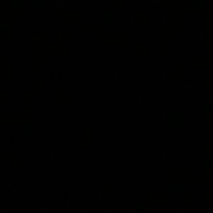 Meet your Posher, Noelia