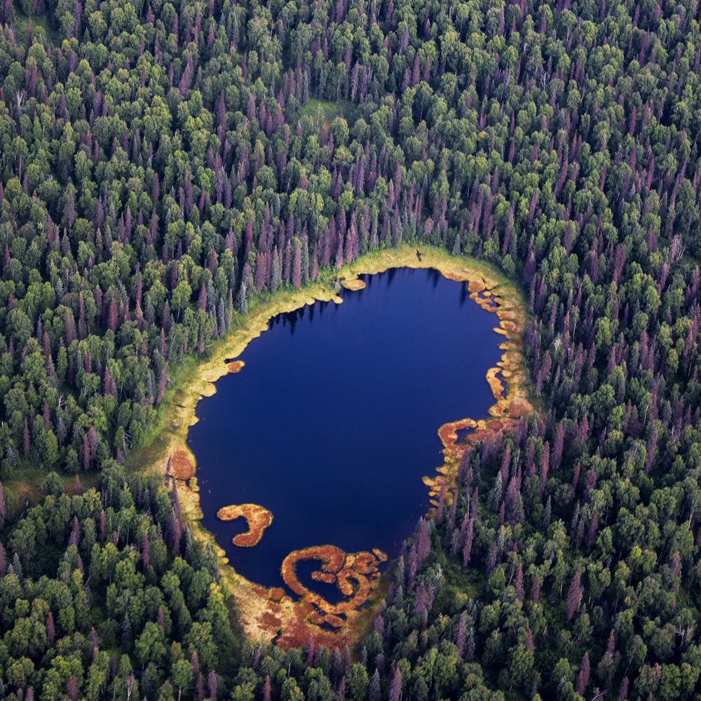 Check My sales history here