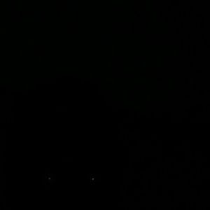 Meet your Posher, Rickey