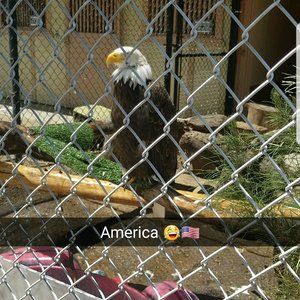 Meet your Posher, Tony