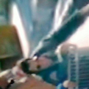 Meet your Posher, Tanner