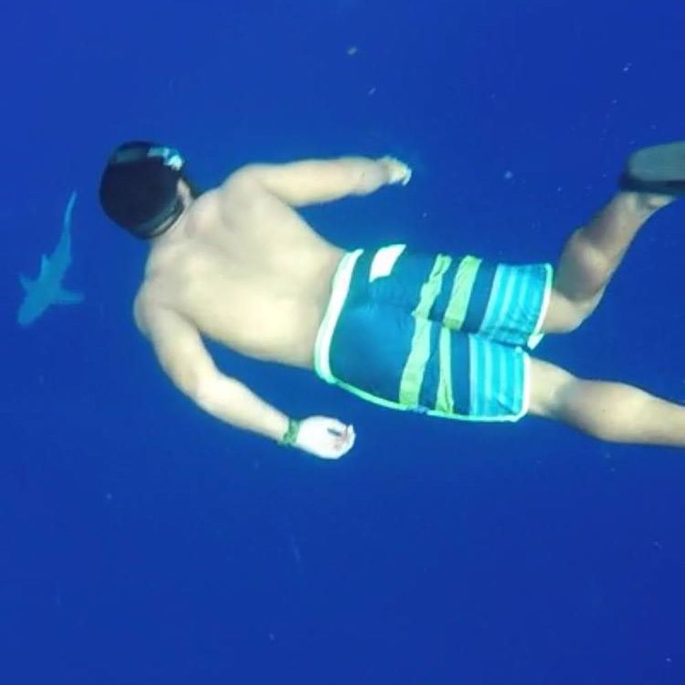 Meet your Posher, Conner