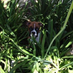 Meet your Posher, Kelli