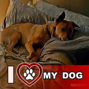 Meet your Posher, Mary anne