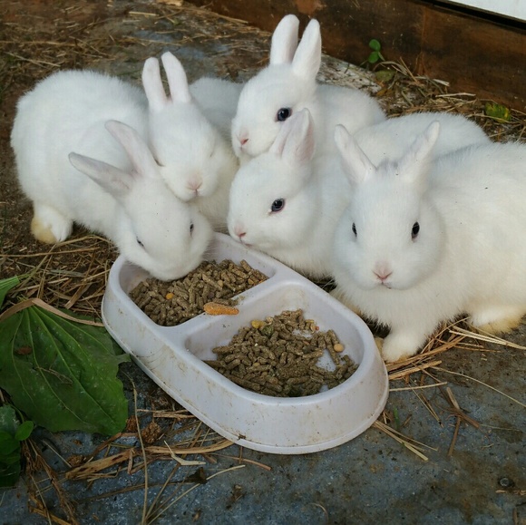 Meet your Posher, T - Picture 1 of 1