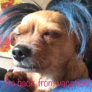 ❤I'M BACK FROM VACATION! 😘 closet reopened~