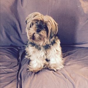 Meet your Posher, Rebecca