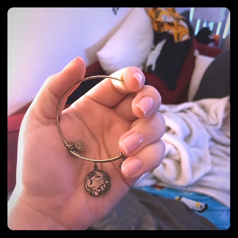 Alex And Ani Zodiac Bracelet
