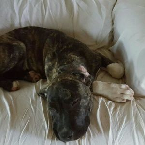 Meet your Posher, Valerie